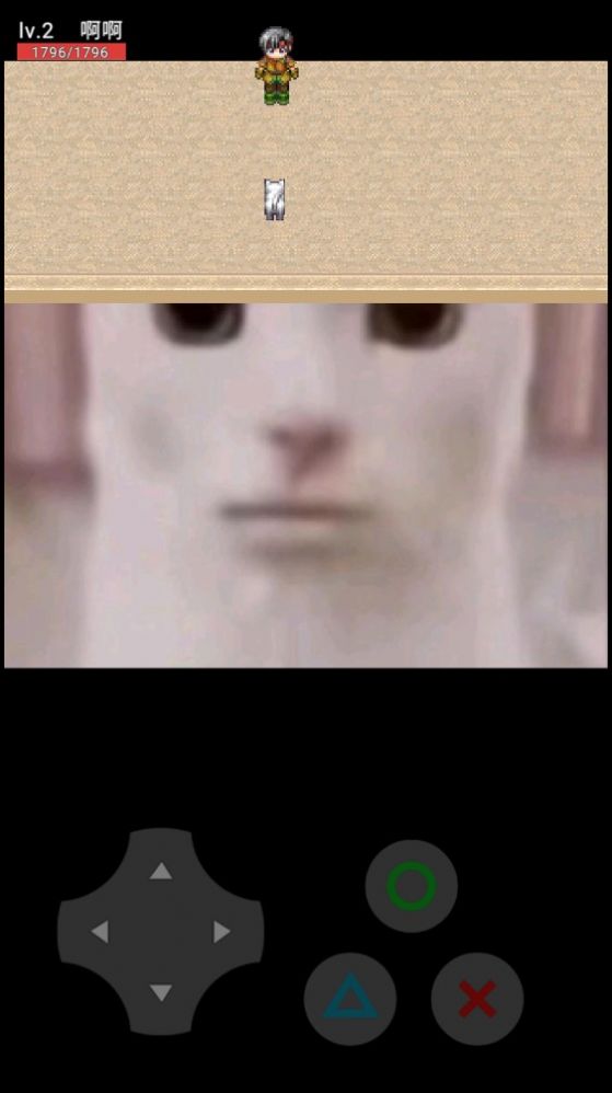 猫咪惊魂游戏安卓版