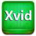 枫叶Xvid格式转换器 V1.
