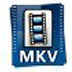 艾奇MKV视频格式转换器 