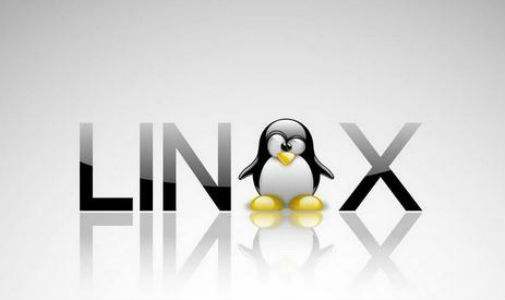 Linux详解