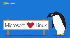 真爱！Linux子系统登陆Windows服务器