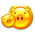 猪场管理系统（猪场管理软件） V5.0 安装版