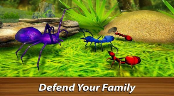 蚁族崛起：神树之战
