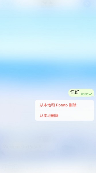 PotatoChat