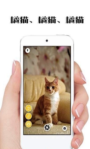 极简猫咪相机app免费版
