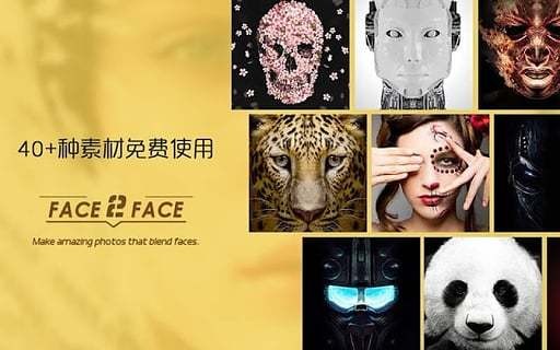face2face换脸app中文版